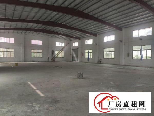  塘厦龙背岭原房东马路边独栋520平钢构厂房实际面积出租