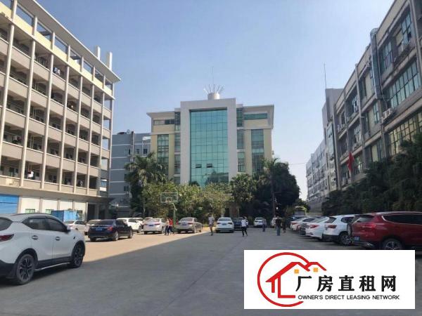  塘厦清湖头楼上一整层2000平带豪华装修厂房招租