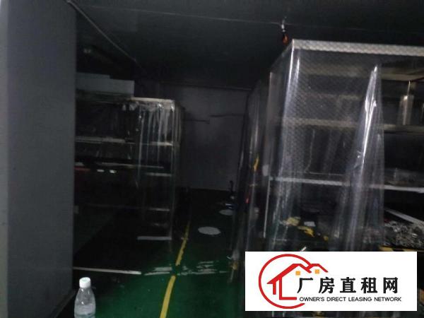  塘厦石鼓新出无尘车间300平打包价6000元拎包入住