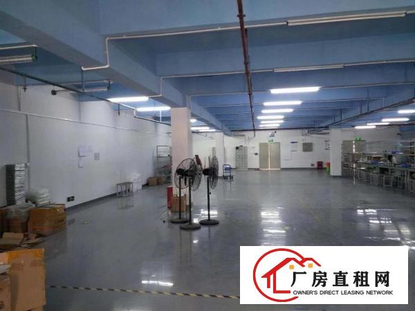  塘厦龙背岭工业区标准1楼1200平方！现成主线现成办公室装修