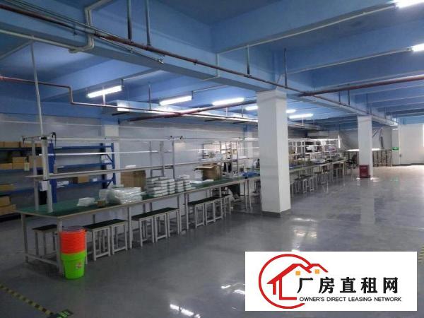  塘厦龙背岭工业区标准1楼1200平方！现成主线现成办公室装修