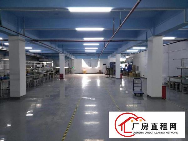  塘厦龙背岭工业区标准1楼1200平方！现成主线现成办公室装修