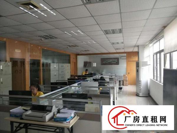  塘厦龙背岭工业区标准1楼1200平方！现成主线现成办公室装修