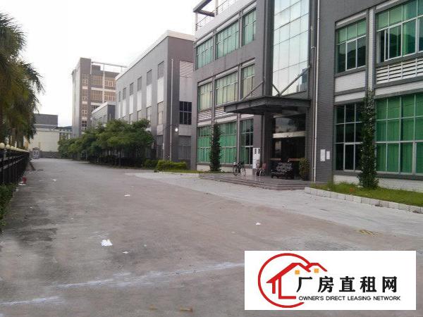  塘厦龙背岭工业区标准1楼1200平方！现成主线现成办公室装修