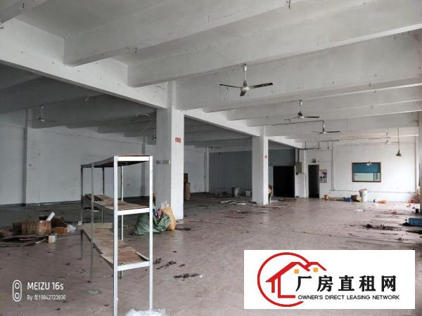  高速口，沙湖800平原房东实际面积出租水电齐全采光好