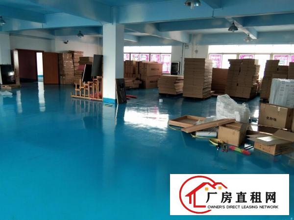  塘厦石鼓独院新出标准3楼1200平方!现成地坪漆！现场实拍图