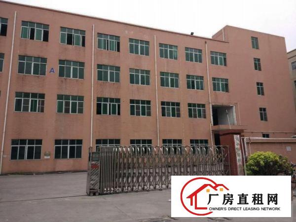  塘厦石鼓独院新出标准3楼1200平方!现成地坪漆！现场实拍图