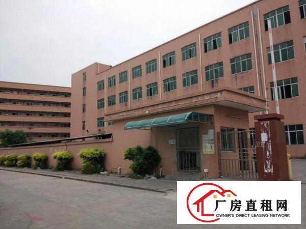  塘厦石鼓独院新出标准3楼1200平方!现成地坪漆！现场实拍图