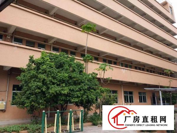  塘厦石鼓独院新出标准3楼1200平方!现成地坪漆！现场实拍图