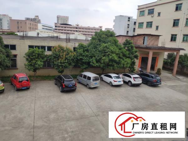  塘厦振兴围新出二楼1050平，现成精装修，原房东无公摊