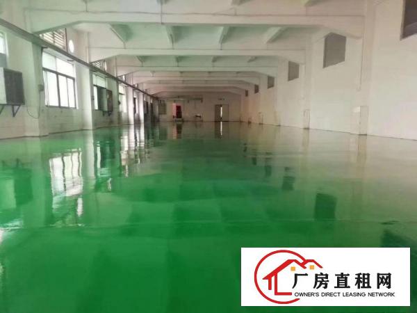  塘厦镇中心带地坪漆楼上700平米出租好招工