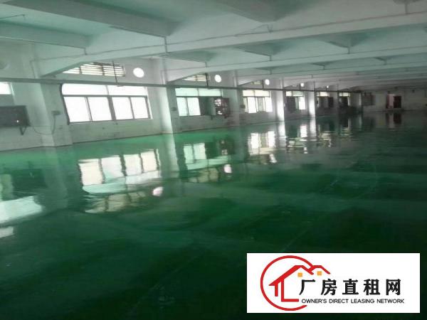  塘厦镇中心带地坪漆楼上700平米出租好招工