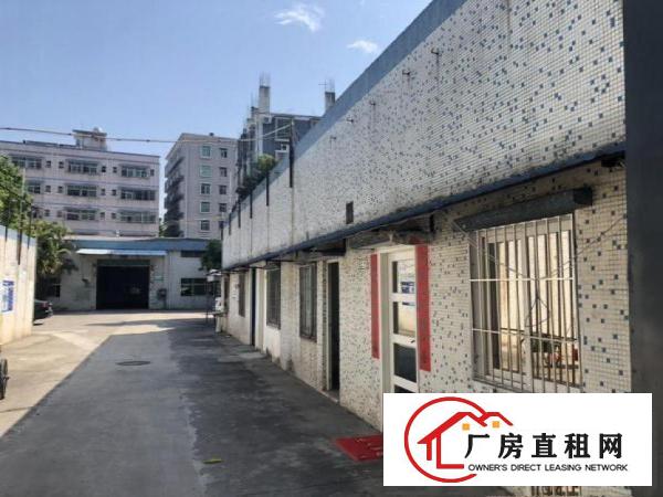  塘厦林村新出独门独院，原房东直租单一层2600平，可分租