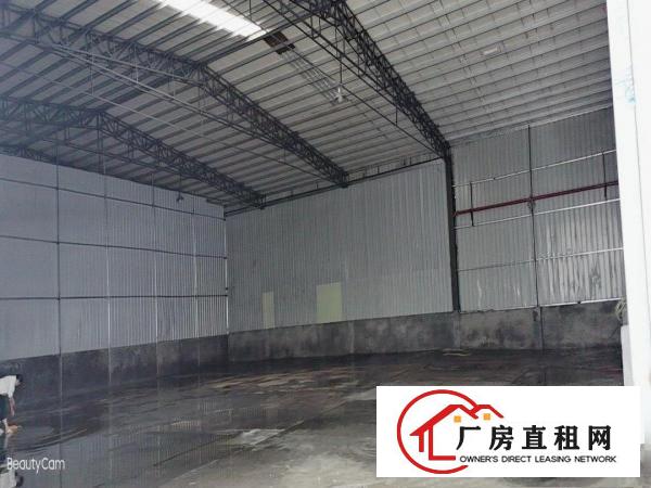  塘厦大坪工业园300平钢构出租，空地超大，适合抛光打磨五金行