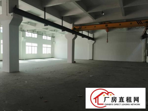  塘厦蛟乙塘新出一楼500平方厂房出租，水电齐全，精装办公室