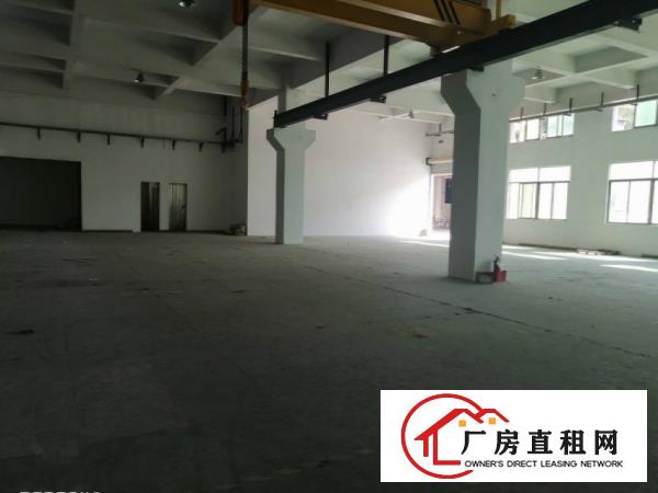  塘厦蛟乙塘新出一楼500平方厂房出租，水电齐全，精装办公室