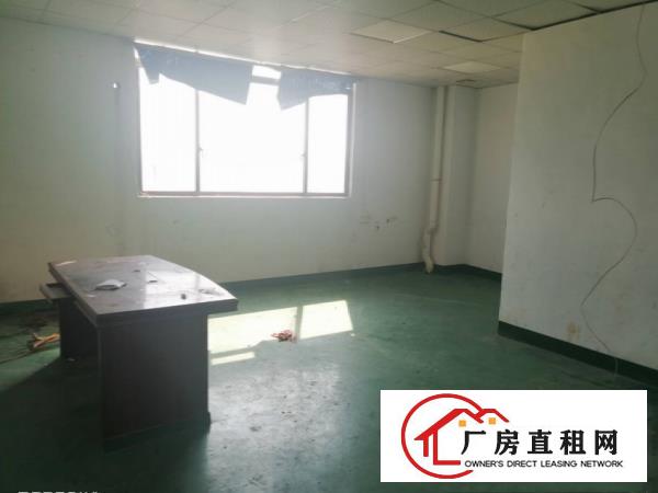  塘厦蛟乙塘新出一楼500平方厂房出租，水电齐全，精装办公室