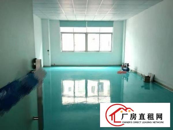  塘厦大坪秒到深圳！独院标准3楼650平！现成地坪漆办公室装修