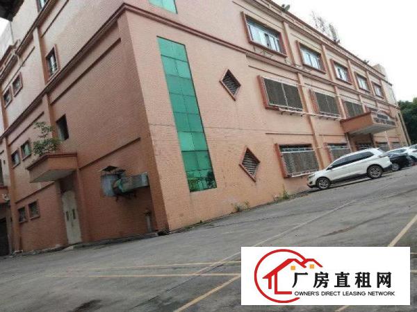  塘厦大坪秒到深圳！独院标准3楼650平！现成地坪漆办公室装修