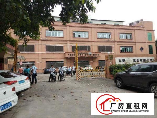  塘厦大坪秒到深圳！独院标准3楼650平！现成地坪漆办公室装修