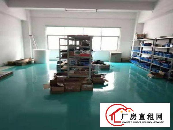  塘厦大坪秒到深圳！独院标准3楼650平！现成地坪漆办公室装修