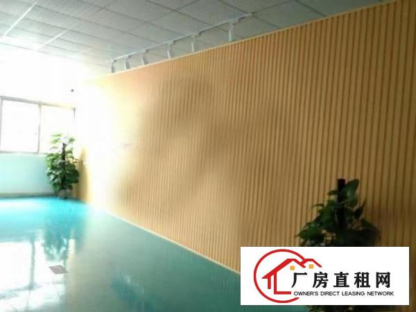  塘厦大坪秒到深圳！独院标准3楼650平！现成地坪漆办公室装修