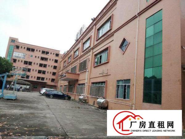  塘厦大坪秒到深圳！独院标准3楼650平！现成地坪漆办公室装修