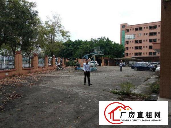  塘厦大坪秒到深圳！独院标准3楼650平！现成地坪漆办公室装修