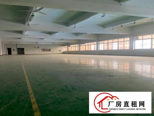  塘厦大坪高速路口原房东实际面积2600平米带装修厂房出租