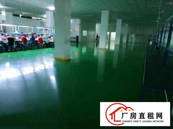  塘厦桥陇工业区标准3楼1000平方！洁净车间！地坪漆精装修