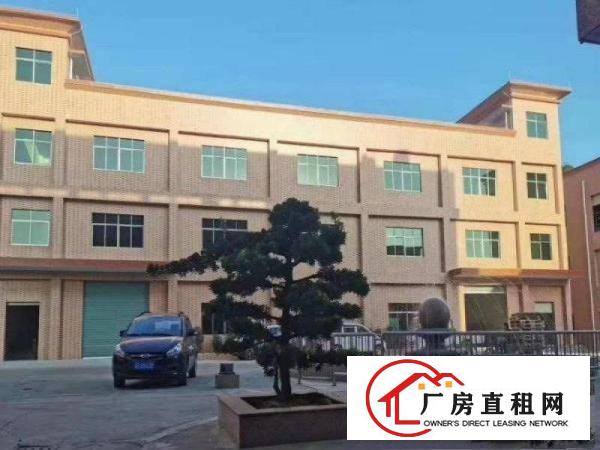  塘厦桥陇工业区标准3楼1000平方！洁净车间！地坪漆精装修