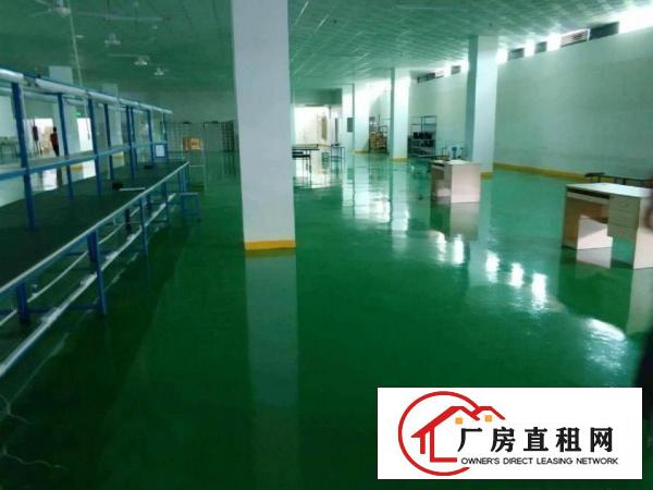  塘厦桥陇工业区标准3楼1000平方！洁净车间！地坪漆精装修