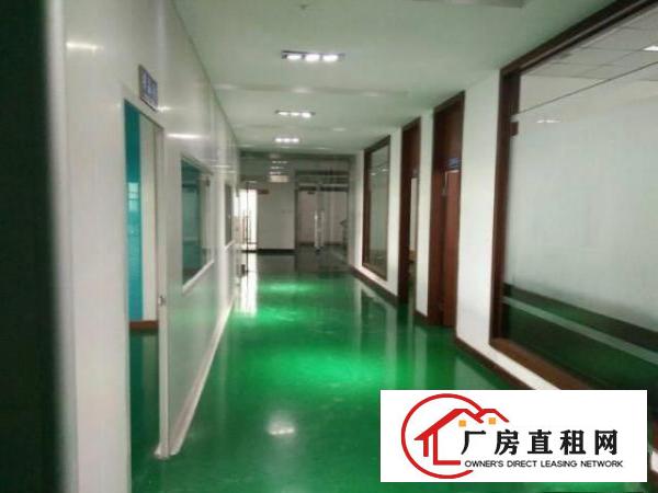  塘厦桥陇工业区标准3楼1000平方！洁净车间！地坪漆精装修