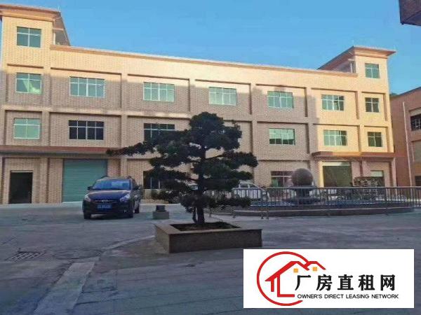  塘厦桥陇工业区标准3楼1000平方！洁净车间！地坪漆精装修