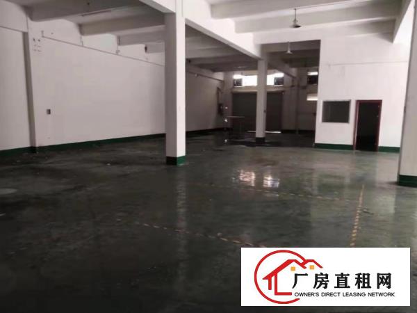  塘厦石潭埔一楼厂房5.5米高1100平方，带装修有环评水电全