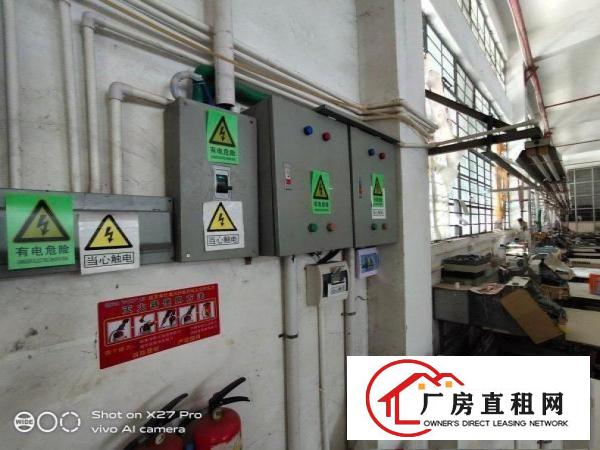  塘厦沙湖独院标准一楼500平现成主线水电到车间厂房出租空地大