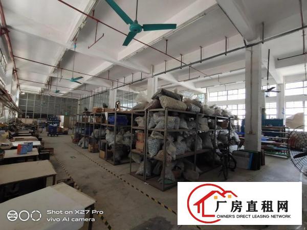  塘厦沙湖独院标准一楼500平现成主线水电到车间厂房出租空地大
