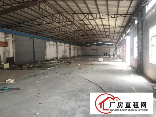  塘厦高桥路1000平方厂房有独立办公室拎包即生产烂白菜价