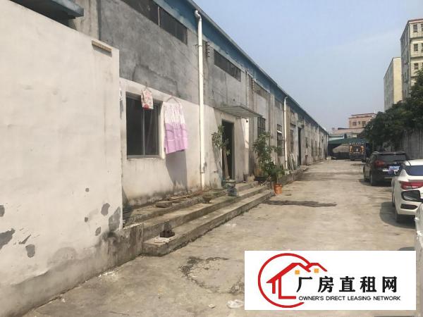  塘厦高桥路1000平方厂房有独立办公室拎包即生产烂白菜价