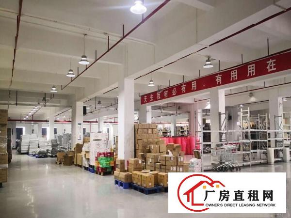  塘厦新出1300平豪华电子车间，无转让费，超大绿化，环境优越
