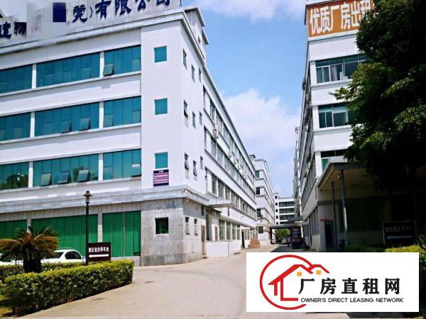  塘厦新出1300平豪华电子车间，无转让费，超大绿化，环境优越