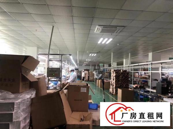  塘厦科苑城形象大气三楼整层3000平米带装修吊顶