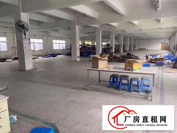  塘厦大坪出口新出独院厂房带行车带装修独立办公楼厂房出租