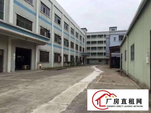  塘厦大坪出口新出独院厂房带行车带装修独立办公楼厂房出租
