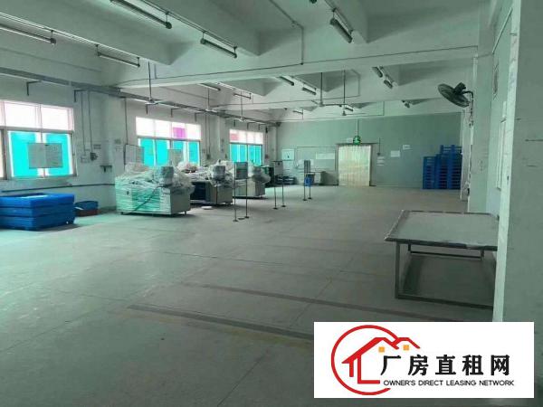  塘厦大坪出口新出独院厂房带行车带装修独立办公楼厂房出租