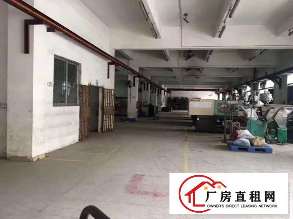  塘厦大坪出口新出独院厂房带行车带装修独立办公楼厂房出租