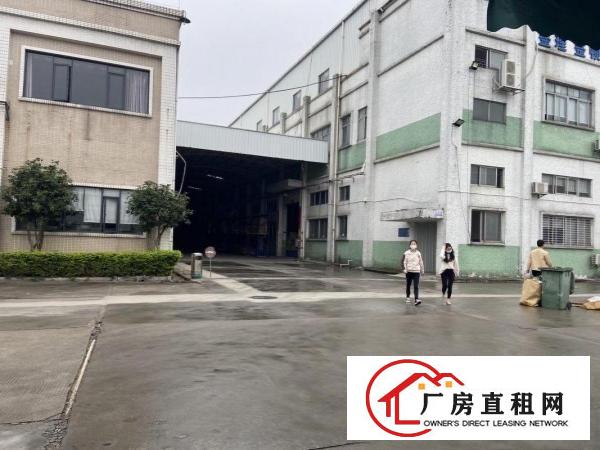  塘厦原房东香港人无公摊楼上2500平米出租