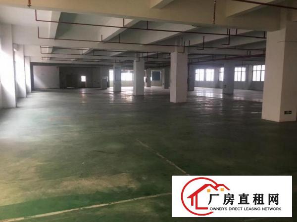  塘厦原房东香港人无公摊楼上2500平米出租