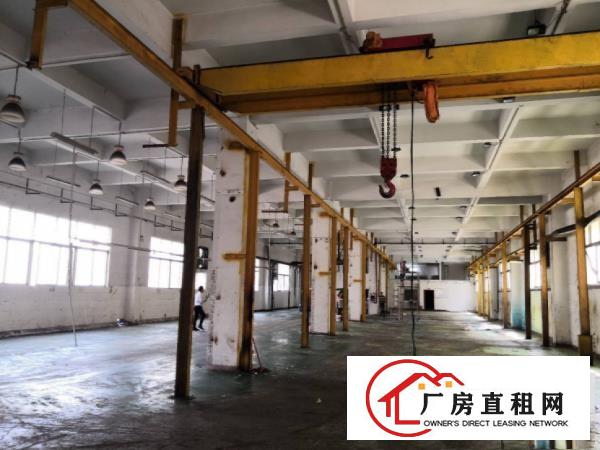  塘厦蛟乙塘新出1楼1000平带阁楼办公室，车间水电齐全