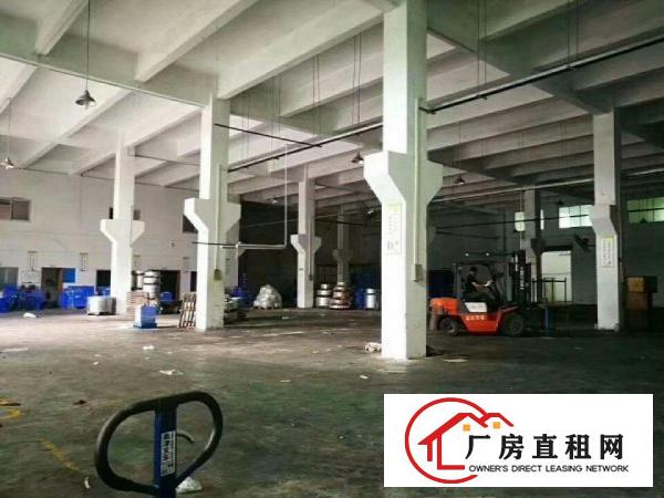  塘厦诸佛岭标准厂房1楼1200平方出租，层高6.5米，带牛角